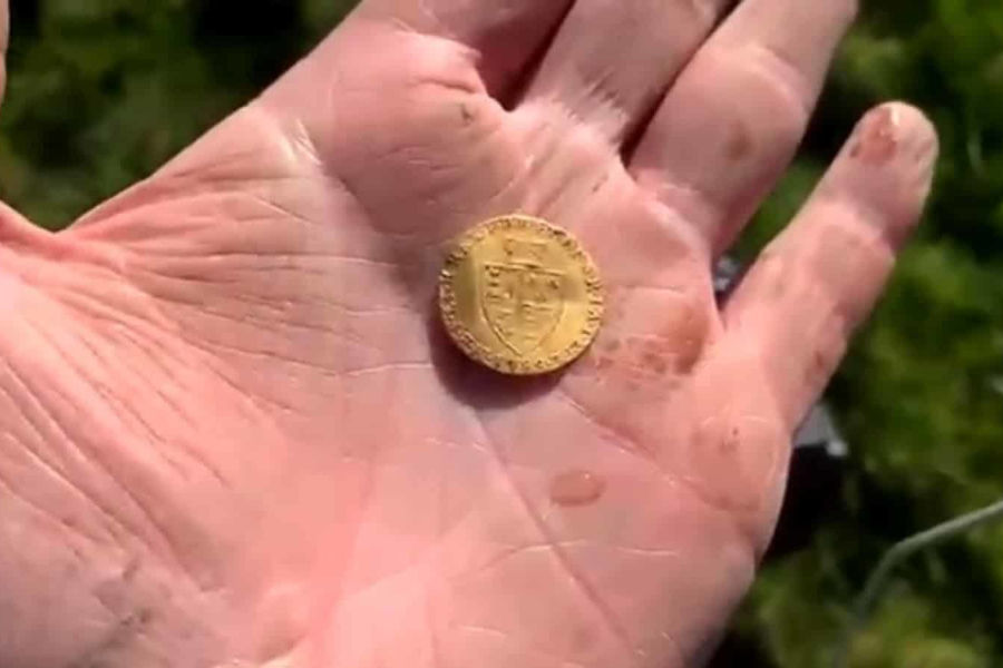 Twitch Streamer Finds Valuable Gold Coin With Metal Detector