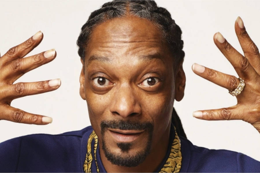 Snoop Dogg Loses Mind on Live Stream - TwitchBeat