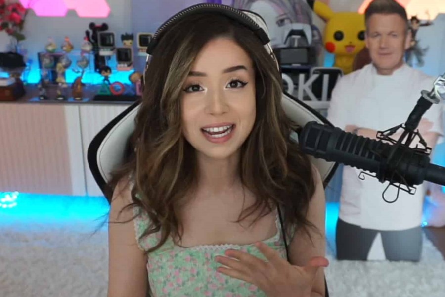 Pokimane Speaks About Cat “Kidnapping’ Story